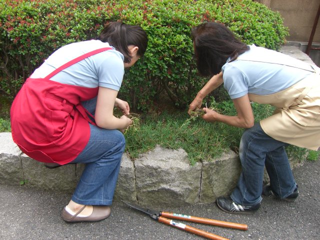 お庭のお手入れ お庭のお手入れ